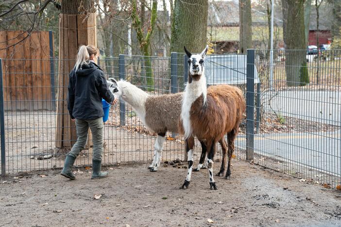 Pirmieji Lietuvos zoologijos sodo lankytojai