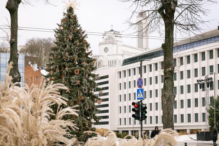 Kauno eglutė skaičiuoja paskutines dienas