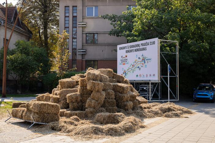 Pasiruošimas „Red Bull muilinių lenktynėms“