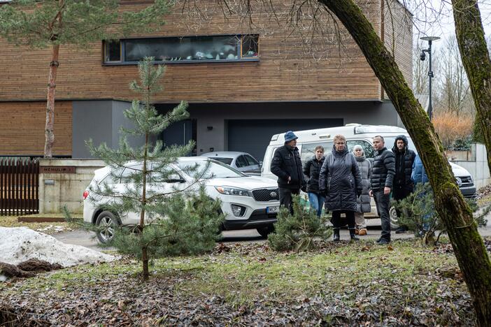 Kauno rajone kertami medžiai