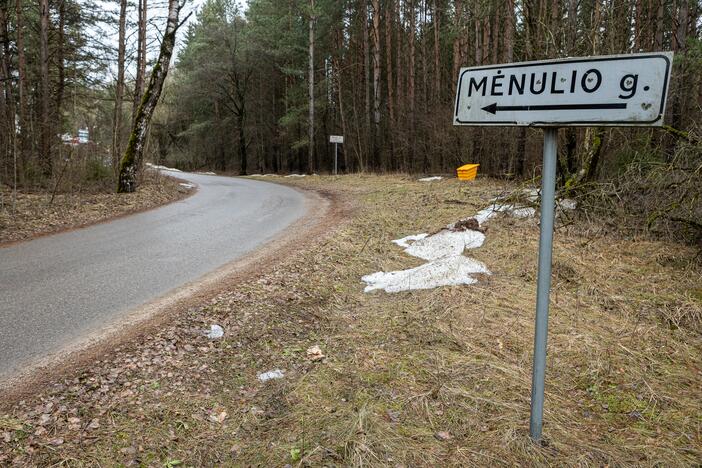 Kauno rajone kertami medžiai