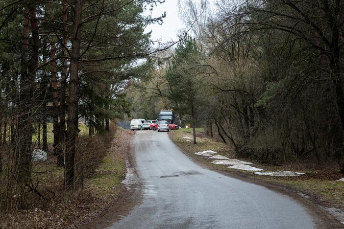 Kauno rajone kertami medžiai