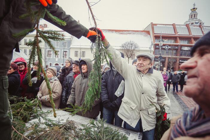 Miškininkai dalino eglių šakas