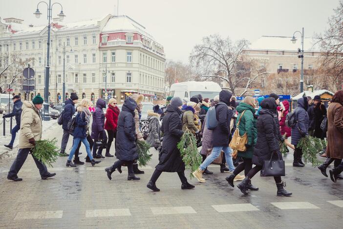 Miškininkai dalino eglių šakas