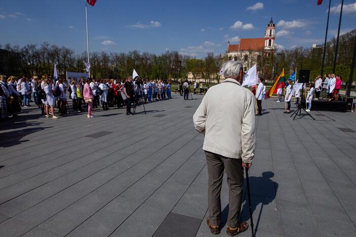 Jaunieji gydytojai Vilniuje surengė šventinį mitingą