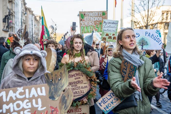 Protesto akcija „Girios ateina į Vilnių“