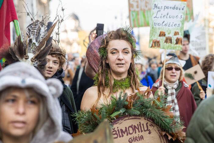 Protesto akcija „Girios ateina į Vilnių“