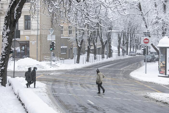 Gausus sniegas užklojo Vilnių