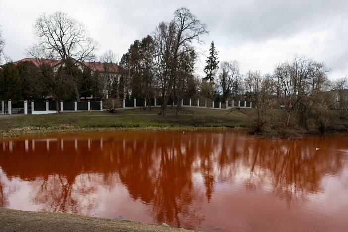 Prie Rusijos ambasados tvenkinys nudažytas raudona spalva