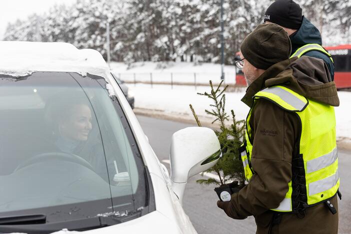 Policijos ir miškininkų akcija Vilniuje