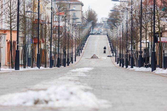 Šiauliai ruošiasi rinkimams