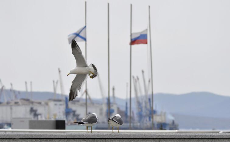 Rusijos kariniai laivai trukdo tiesti „NorBalt“ kabelį