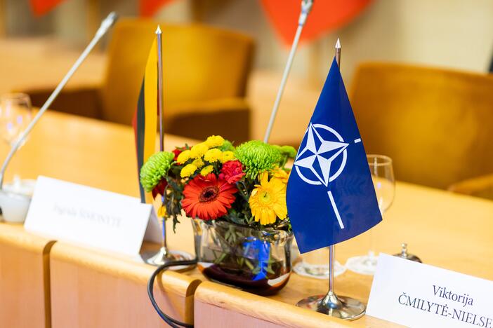 Konferencija dėl NATO viršūnių susitikimo Vilniuje