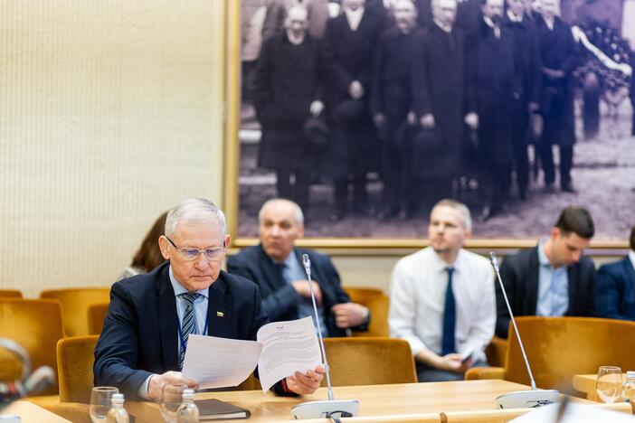 Konferencija dėl NATO viršūnių susitikimo Vilniuje