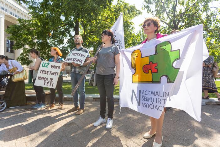 Protestas prieš tos pačios lyties asmenų sąjungų įteisinimą