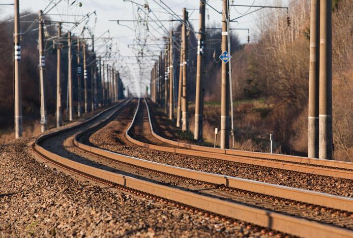 Rengės atstatymas: VPT neranda pažeidimų, komisija toliau ieško grėsmių