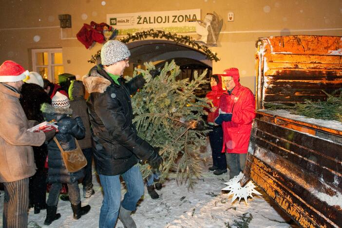 Nupuoštos eglutės virs ekologišku kuru