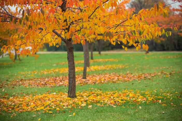 Verkių regioninis parkas lankytojams siūlo gamtos lobių paiešką