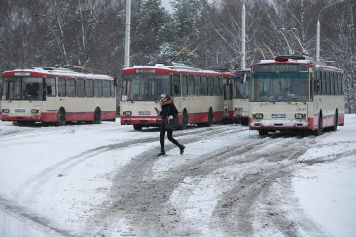 Prie savivaldybės – piketas dėl troleibusų