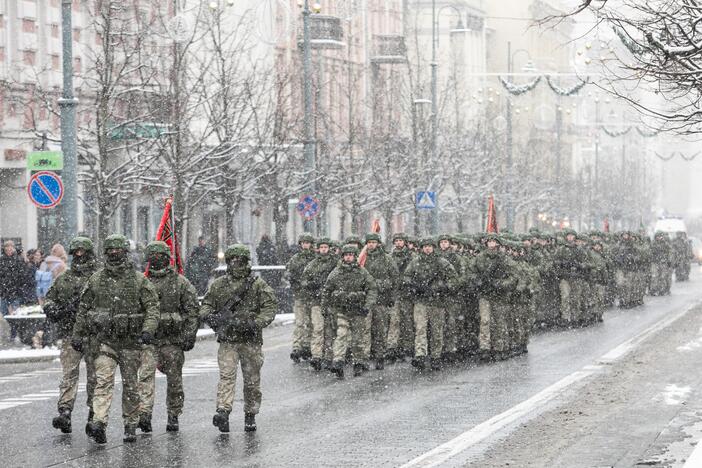 Iškilminga rikiuotė Kariuomenės dienos proga