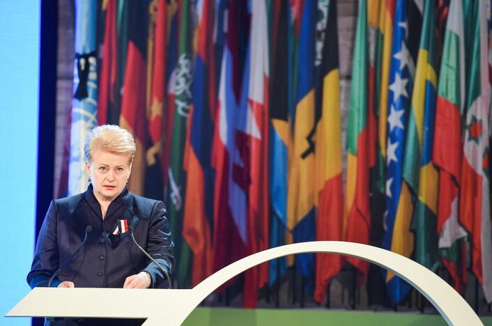 D. Grybauskaitė: reikia skatinti taiką, žmogaus teises ir demokratiją