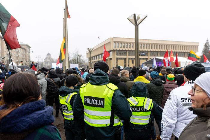 Protestas prie Seimo Sausio 13-ąją