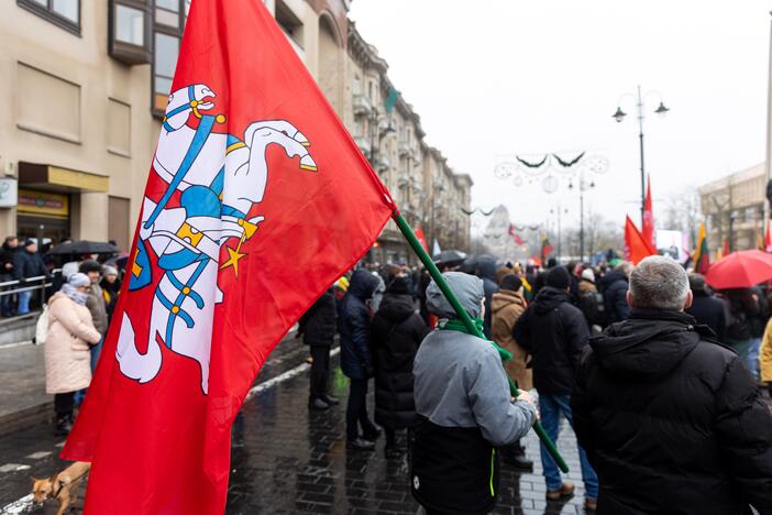 Protestas prie Seimo Sausio 13-ąją