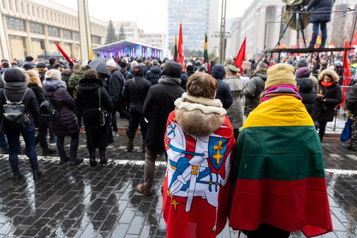 Protestas prie Seimo Sausio 13-ąją