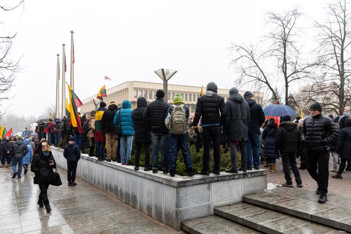 Protestas prie Seimo Sausio 13-ąją