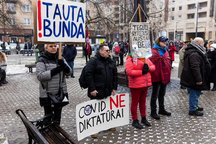 Protestas prie Seimo Sausio 13-ąją