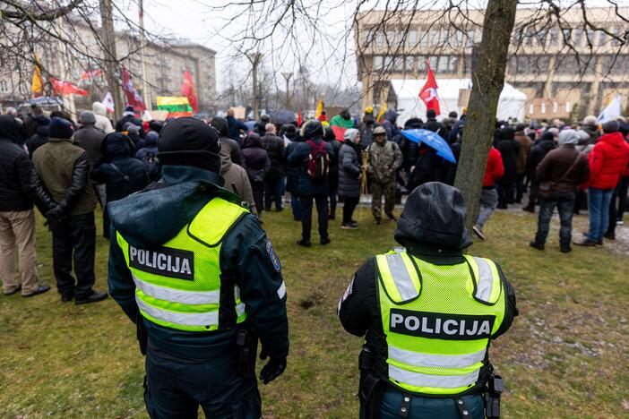 Protestas prie Seimo Sausio 13-ąją