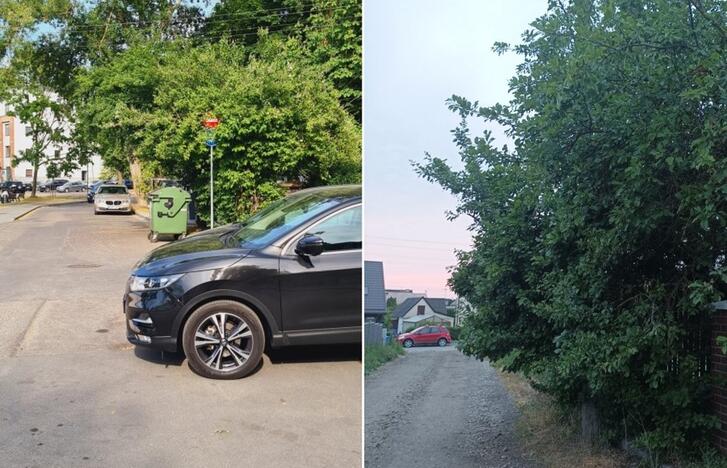 Eismas: dėl negenėtų medžių kai kur mieste sunku prasilenkti automobiliams.