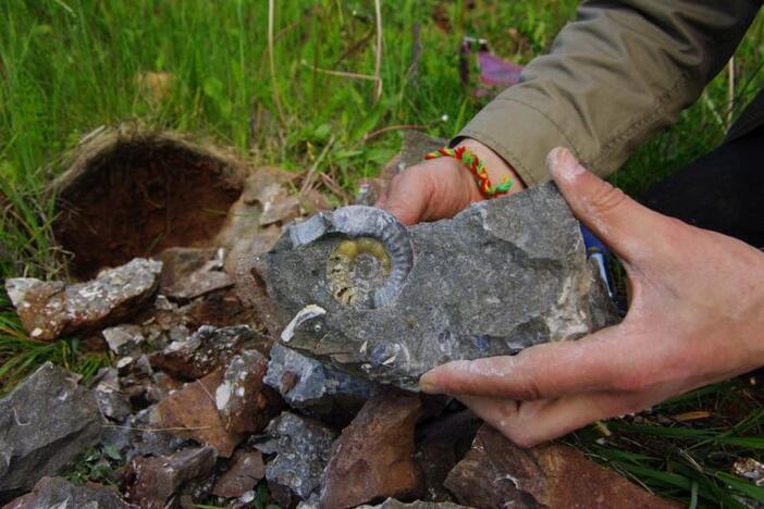 Mineralų mėgėjų „sumedžioti“ pavyzdžiai praverčia ir geologams