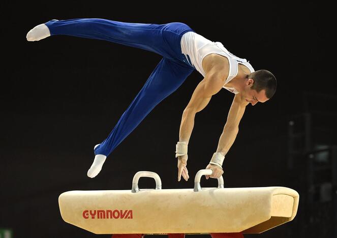 Pasaulio „Iššūkio“ taurės varžybose gimnastą R. Tvorogalą lydėjo sėkmė