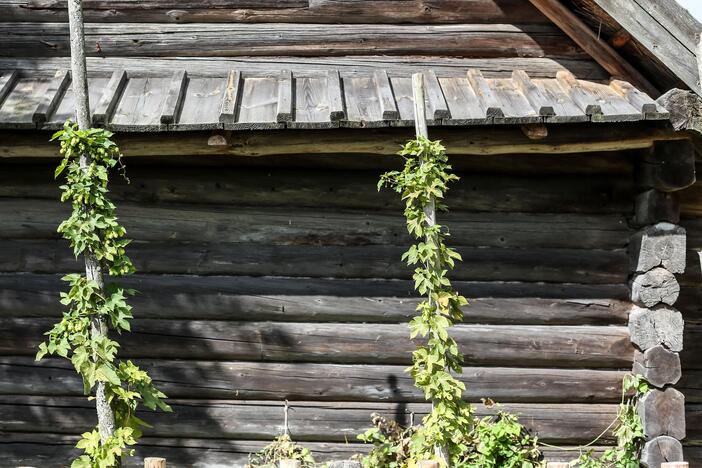 Žolinių šventė Liaudies buities muziejuje