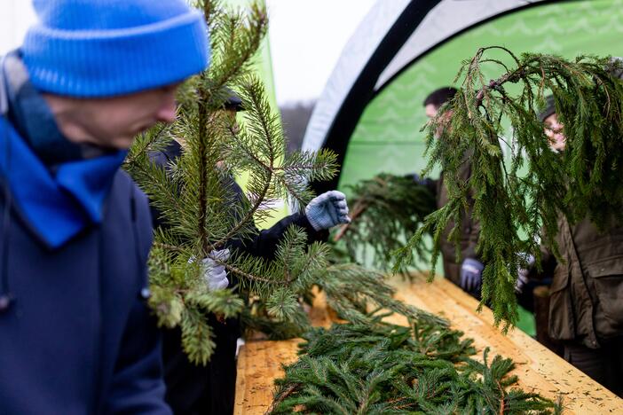 Miškininkų organizuojama nemokamų eglės šakų dalijimo akcija