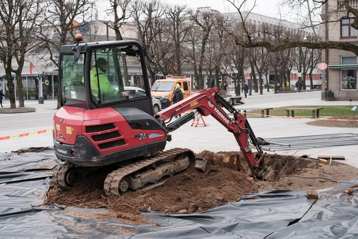 Naujai susodintos liepos Laisvės alėjoje