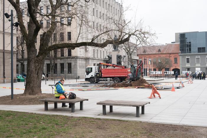 Naujai susodintos liepos Laisvės alėjoje