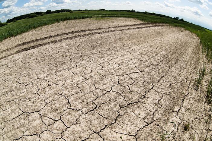 Lietus negelbsti: meteorologai skelbia stichinę sausrą