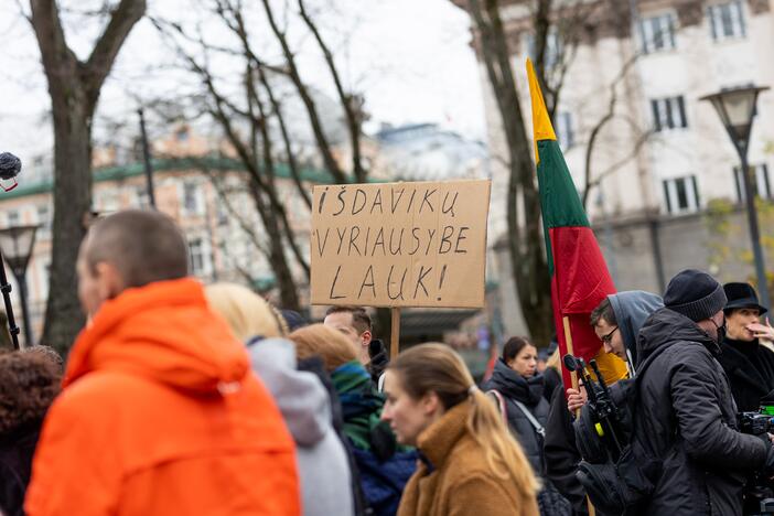 Protestas Vilniuje prieš galimybių pasą vaikams