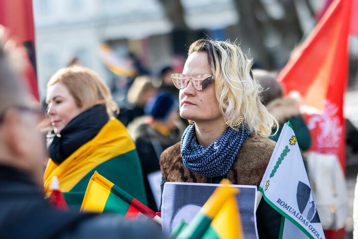 S. Daukanto aikštėje – Baltijos valstybių vėliavų pakėlimo ceremonija