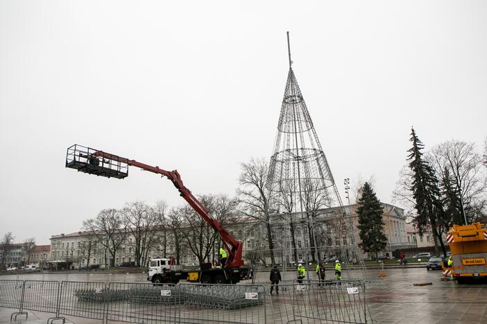 Katedros aikštėje pradėta statyti Vilniaus Kalėdų eglė