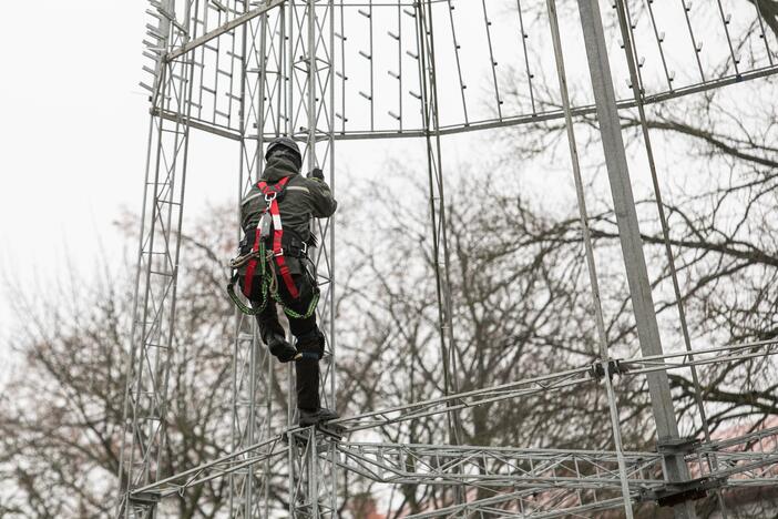 Katedros aikštėje pradėta statyti Vilniaus Kalėdų eglė