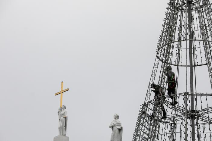 Katedros aikštėje pradėta statyti Vilniaus Kalėdų eglė