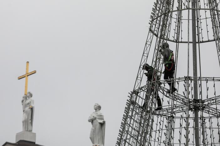 Katedros aikštėje pradėta statyti Vilniaus Kalėdų eglė