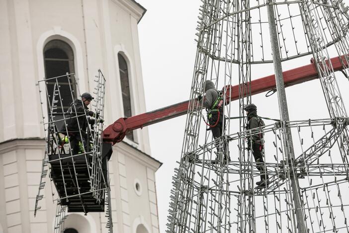 Katedros aikštėje pradėta statyti Vilniaus Kalėdų eglė