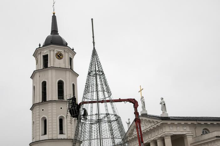 Katedros aikštėje pradėta statyti Vilniaus Kalėdų eglė