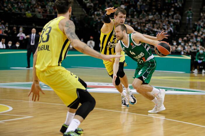 Kauno „Žalgirio“ ir Stambulo „Fenerbahče“ rungtynės