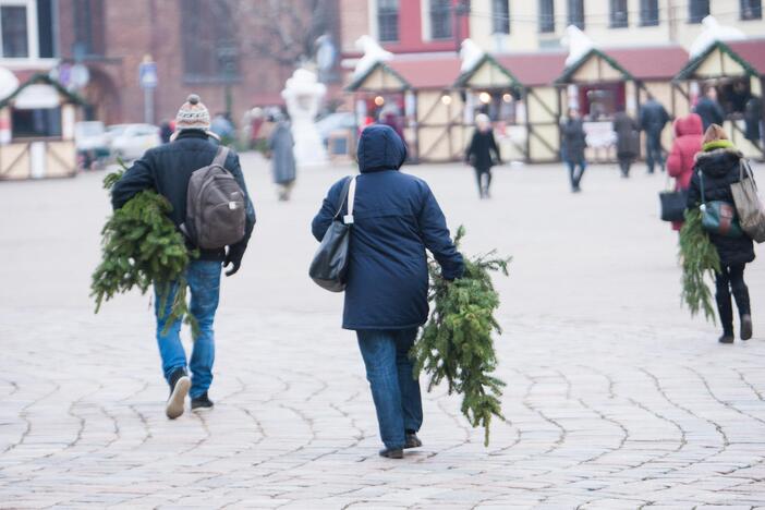 Eglučių šakų dalinimas Rotušės aikštėje