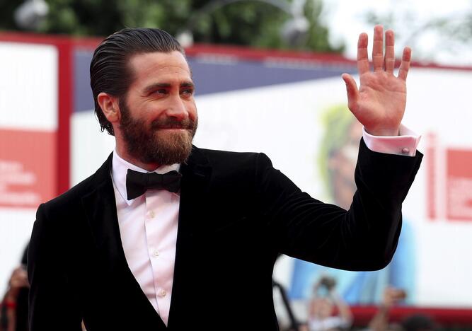 J. Gyllenhaalas